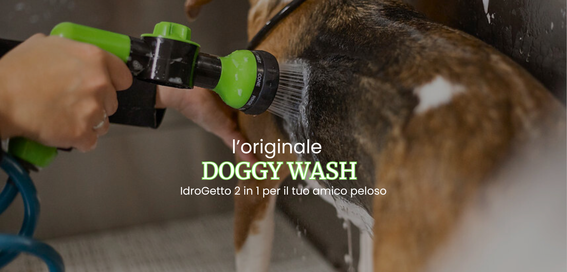 Doggy Wash  (1920 x 921 px).png__PID:dedb2fb5-fd49-49a9-8286-39dbb25366a1